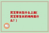 灵芝草长在什么上面(灵芝草生长的场所是什么？)