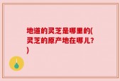 地道的灵芝是哪里的(灵芝的原产地在哪儿？)