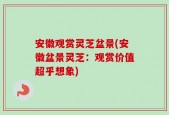 安徽观赏灵芝盆景(安徽盆景灵芝：观赏价值超乎想象)