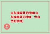 山东福国灵芝种植(山东福国灵芝种植：大自然的馈赠)