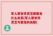 军人荣誉苏灵芝跟雷龙什么关系(军人荣誉苏灵芝与雷龙的关联)