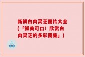 新鲜白肉灵芝图片大全(「鲜美可口！欣赏白肉灵芝的多彩图集」)