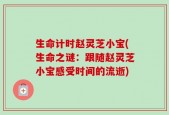 生命计时赵灵芝小宝(生命之谜：跟随赵灵芝小宝感受时间的流逝)