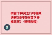 树苗下种灵芝行吗视频讲解(如何在树苗下种植灵芝？-视频教程)