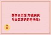 黄芪白灵芝(华夏黄芪与白灵芝的药用功效)