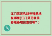 江门灵芝乳鸽养殖基地在哪里(江门灵芝乳鸽养殖基地位置在哪？)