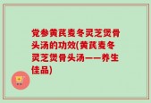 党参黄芪麦冬灵芝煲骨头汤的功效(黄芪麦冬灵芝煲骨头汤——养生佳品)