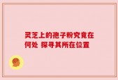 灵芝上的孢子粉究竟在何处 探寻其所在位置