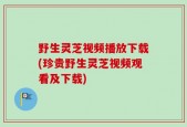 野生灵芝视频播放下载(珍贵野生灵芝视频观看及下载)