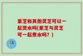 紫芝和其他灵芝可以一起煲水吗(紫芝与灵芝可一起煮水吗？)