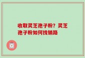 收取灵芝孢子粉？灵芝孢子粉如何找销路