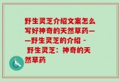 野生灵芝介绍文案怎么写好神奇的天然草药——野生灵芝的介绍 - 野生灵芝：神奇的天然草药