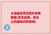 小说描述灵芝的片段有哪些(灵芝出镜，舌尖上的美味闪亮登场)
