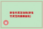 野生竹灵芝功效(野生竹灵芝的健康益处)
