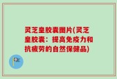灵芝皇胶囊图片(灵芝皇胶囊：提高免疫力和抗疲劳的自然保健品)