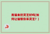 用猫来挖灵芝好吗(如何让猫帮你采灵芝？)