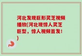 河北发现巨形灵芝视频播放(河北现惊人灵芝巨型，惊人视频首发！)