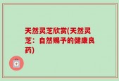 天然灵芝欣赏(天然灵芝：自然赐予的健康良药)
