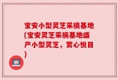 宝安小型灵芝采摘基地(宝安灵芝采摘基地盛产小型灵芝，赏心悦目)