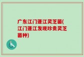 广东江门蓬江灵芝菌(江门蓬江发现珍贵灵芝菌种)