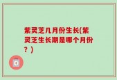 紫灵芝几月份生长(紫灵芝生长期是哪个月份？)