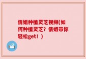 倩姐种植灵芝视频(如何种植灵芝？倩姐带你轻松get！)