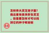 怎样养大灵芝孢子菌？我这里有很多野生灵芝，但是要怎样才可以找到它的种子呢谢谢