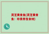 灵芝黄骨鱼(灵芝黄骨鱼：珍贵养生食材)