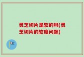 灵芝切片是软的吗(灵芝切片的软度问题)