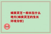 蜂窝灵芝一般长在什么地方(蜂窝灵芝的生长环境分析)
