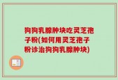 狗狗乳腺肿块吃灵芝孢子粉(如何用灵芝孢子粉诊治狗狗乳腺肿块)