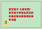 灵芝孢子 九章生物？灵芝孢子究竟在灵芝的伞面还是伞底有相关参考书籍