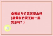 桑黄能与竹灵芝煲水吗(桑黄和竹灵芝能一起煲水吗？)