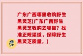 广东广西哪里收购野生黑灵芝(广东广西野生黑灵芝收购去哪里？找准正规渠道，保障野生黑灵芝质量。)