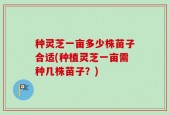 种灵芝一亩多少株苗子合适(种植灵芝一亩需种几株苗子？)