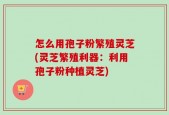 怎么用孢子粉繁殖灵芝(灵芝繁殖利器：利用孢子粉种植灵芝)