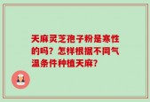 天麻灵芝孢子粉是寒性的吗？怎样根据不同气温条件种植天麻？