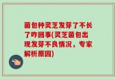菌包种灵芝发芽了不长了咋回事(灵芝菌包出现发芽不良情况，专家解析原因)