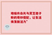 地榆升白片与灵芝孢子粉的奇妙搭配，让生活焕发新活力”