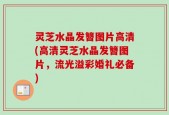 灵芝水晶发簪图片高清(高清灵芝水晶发簪图片，流光溢彩婚礼必备)