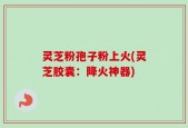 灵芝粉孢子粉上火(灵芝胶囊：降火神器)