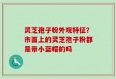 灵芝孢子粉外观特征？市面上的灵芝孢子粉都是带小蓝帽的吗