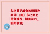 东北灵芝美食推荐图片欣赏(【图】东北灵芝美食推荐，鲜美可口_新闻报道)