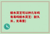 椴木灵芝可以种几年吗有毒吗椴木灵芝：耐久长，无毒害)
