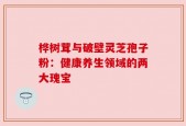 桦树茸与破壁灵芝孢子粉：健康养生领域的两大瑰宝