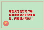 破壁灵芝功效与作用(探究破壁灵芝的健康益处，闪耀强大功效！)