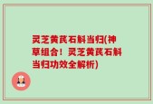 灵芝黄芪石斛当归(神草组合！灵芝黄芪石斛当归功效全解析)