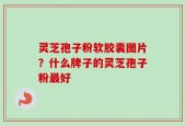灵芝孢子粉软胶囊图片？什么牌子的灵芝孢子粉最好