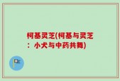柯基灵芝(柯基与灵芝：小犬与中药共舞)