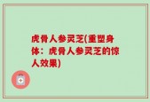 虎骨人参灵芝(重塑身体：虎骨人参灵芝的惊人效果)